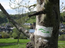 eschenburgpfad-markierung-appersberg